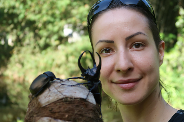 Iva Njunjić of Taxon Expeditions poses with a Southeast Asian rhinoceros beetle